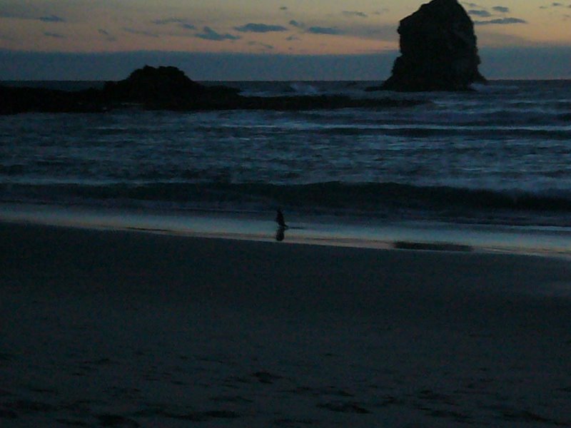 Travel - New Zealand - Sandfly Bay, Dunedin